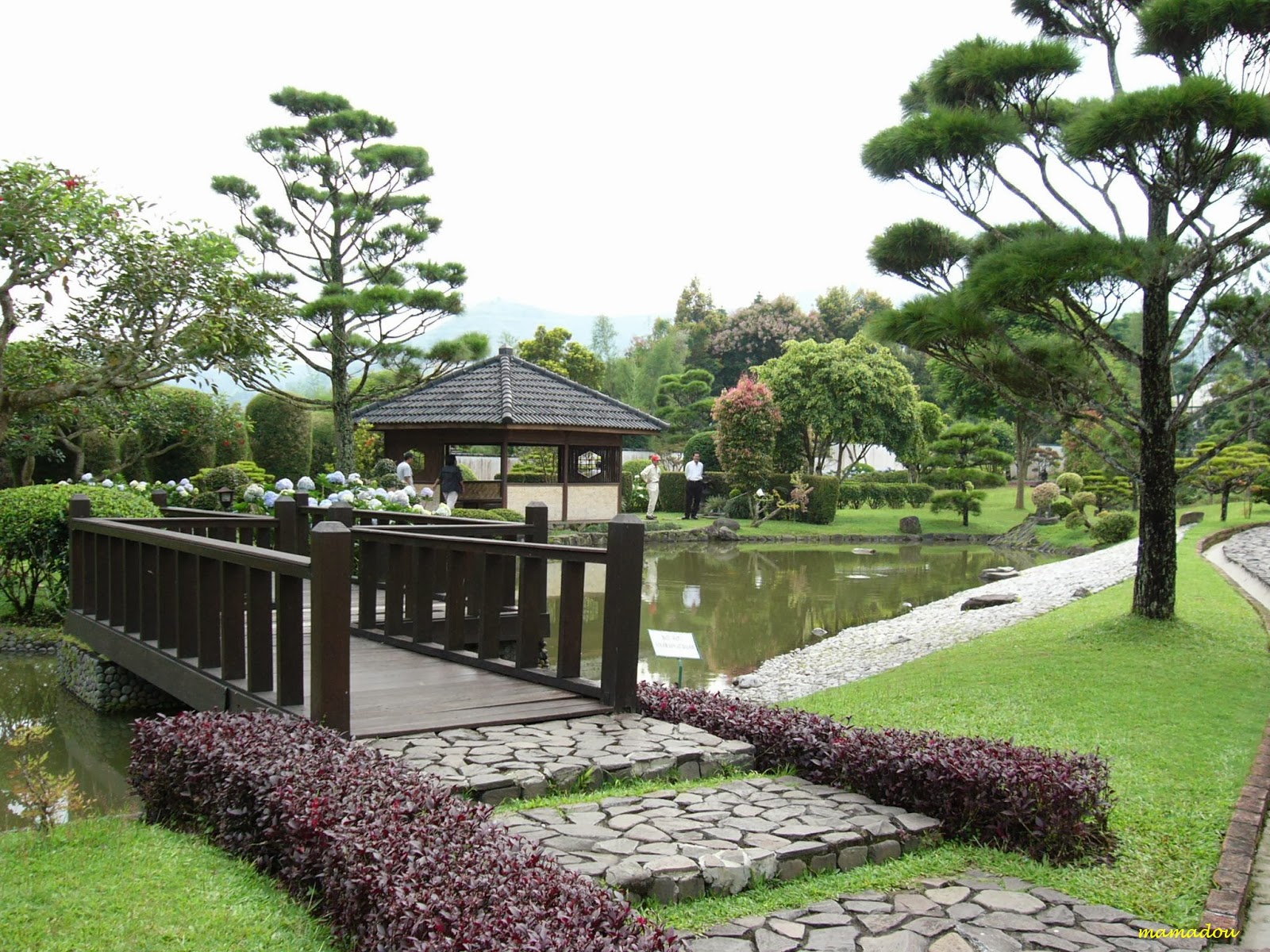  Desain  Taman  Rumah Ala Jepang Blog Koleksi Desain  Rumah