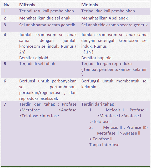 Soal essay mitosis dan meiosis 06 image