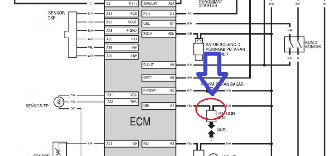 wiring diagram honda vario 110 wiring diagram honda vario 110