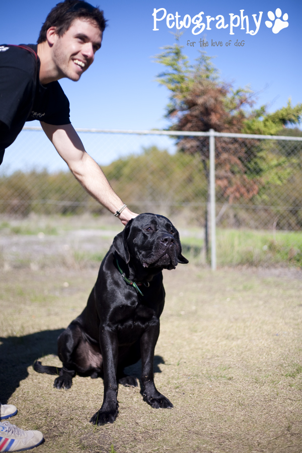 Petography Adoptables K9 Dog Rescue Mandurah