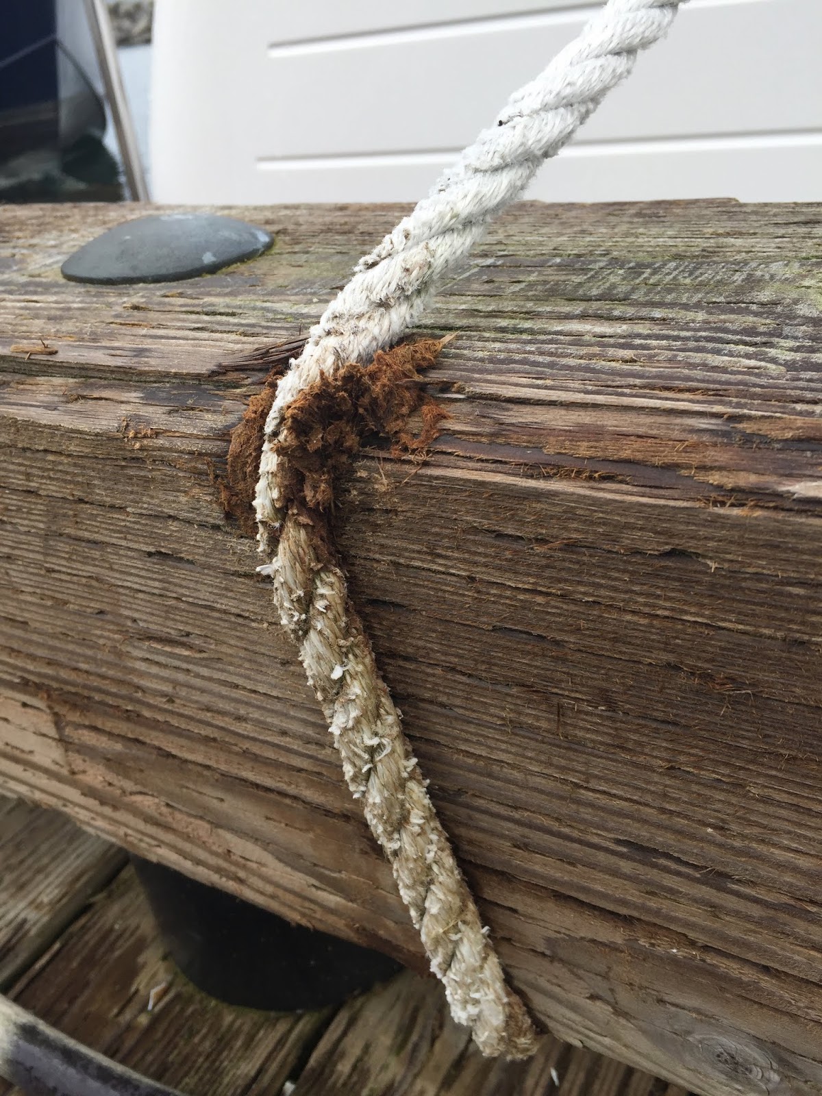 Denali Rose Tidbit Docking with Bull Rails Instead of Cleats