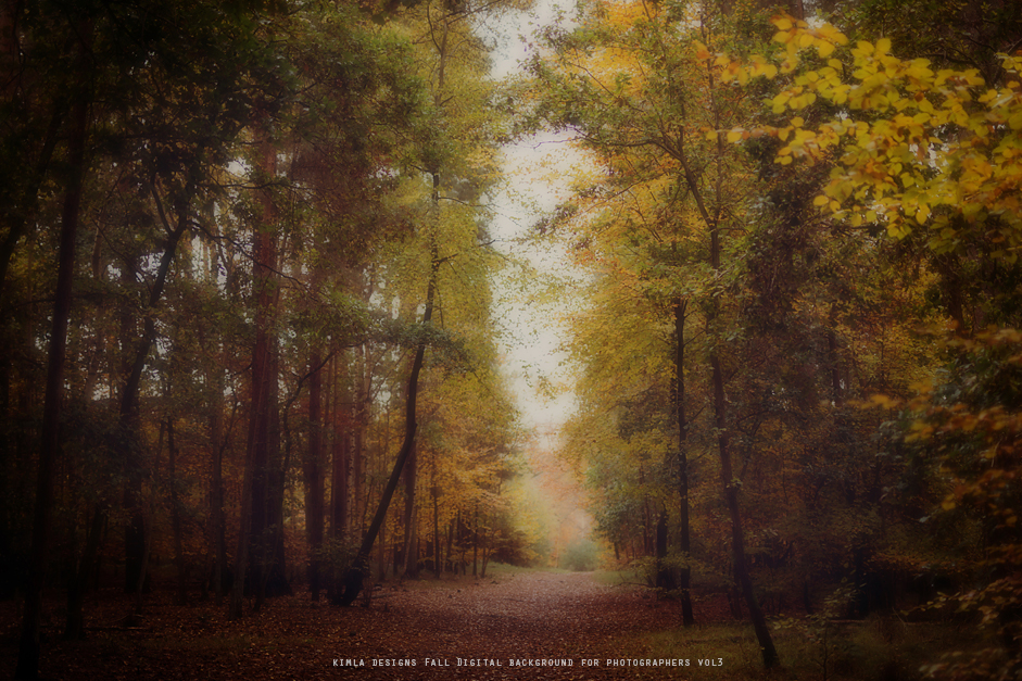 Digital Backgrounds for Photographers Freebie and Tutorial