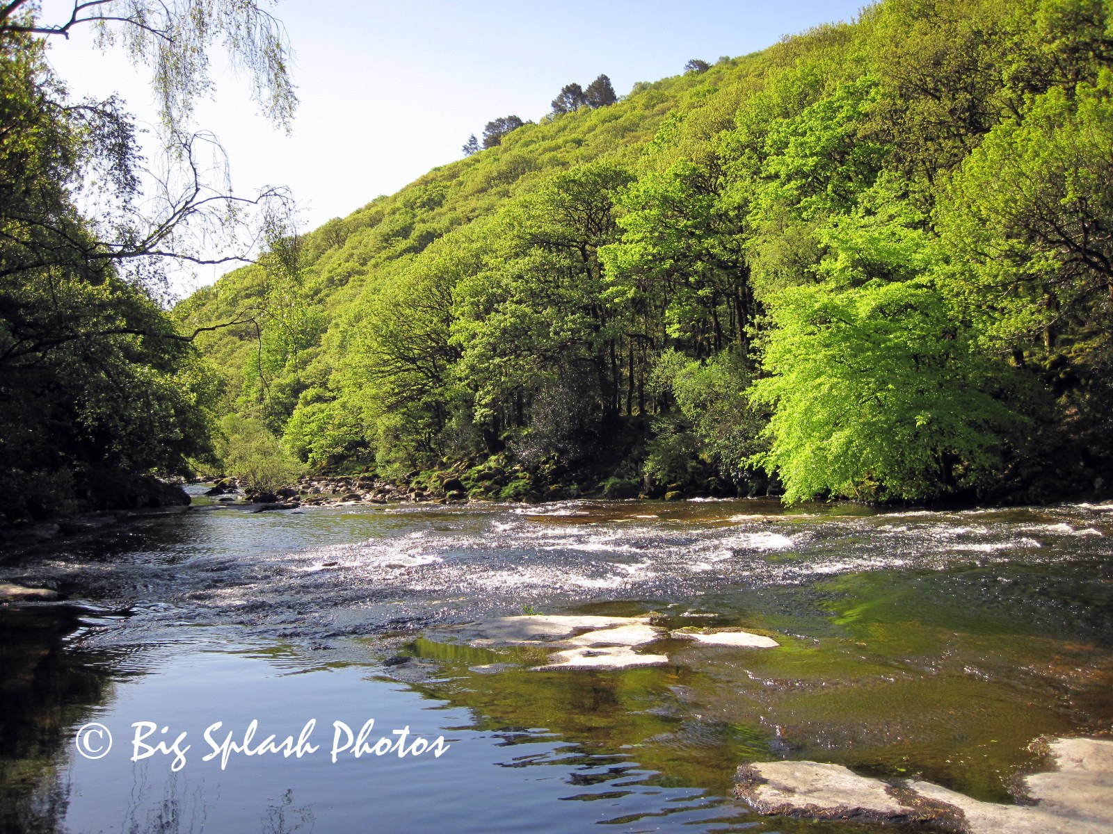 DevonSwimMap Salmon Leaps