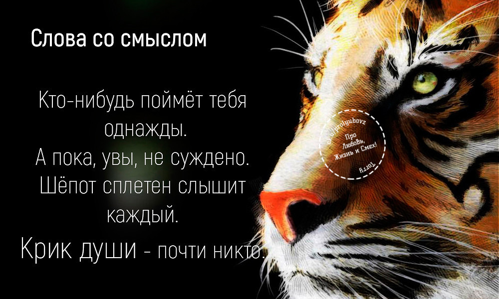 Статусы картинки со смыслом прикольные и обо всем