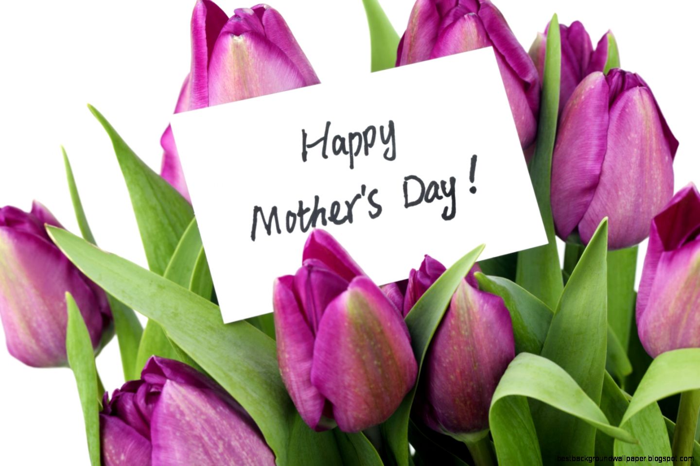 Happy Mothers Day   Waitara Family Medical Practice