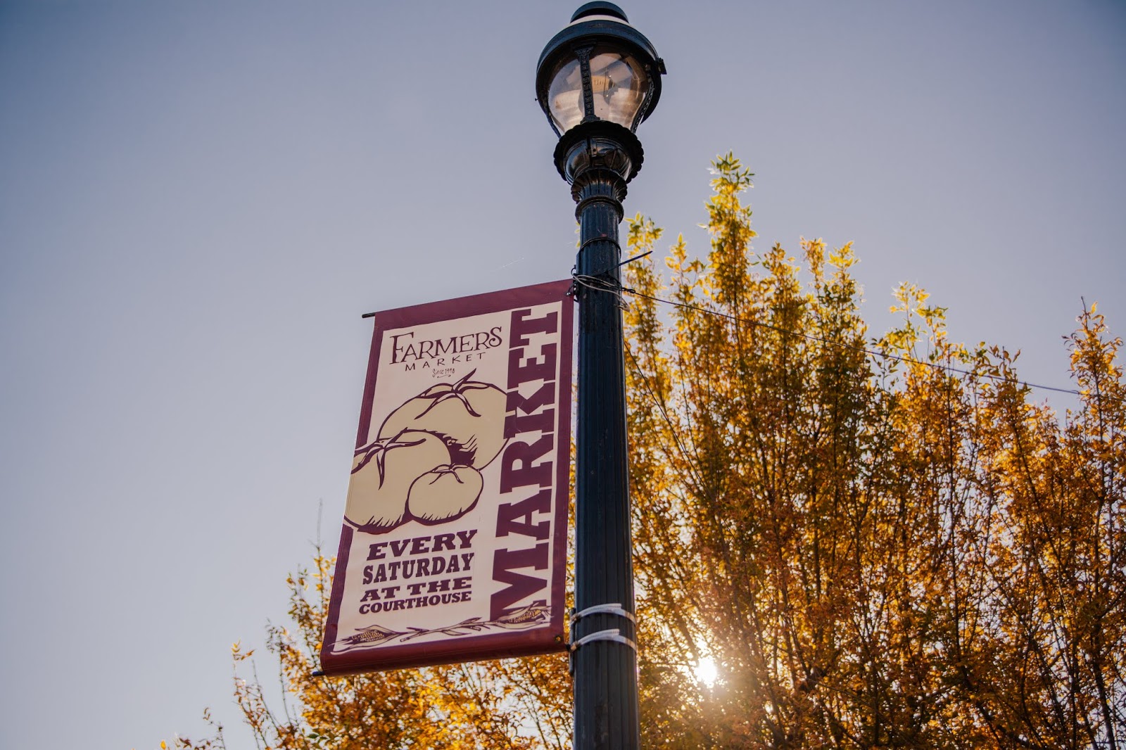 Downtown Greenville Farmers’ Market Vendor Open House