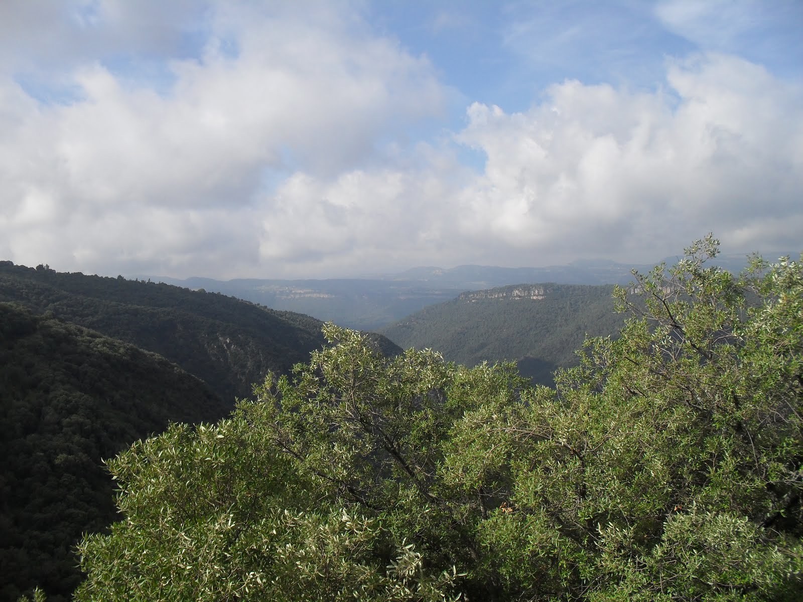 Aiguafreda. Octubre 2016