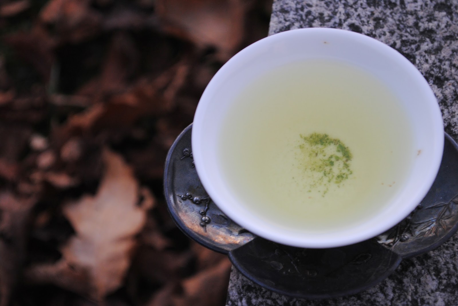 Vojtěch Timoteus Mistr Sencha z ostrova Kyushu Okumidori おくみどり