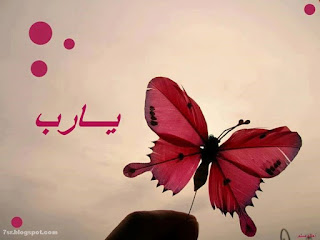 صور يا رب صور يا رب