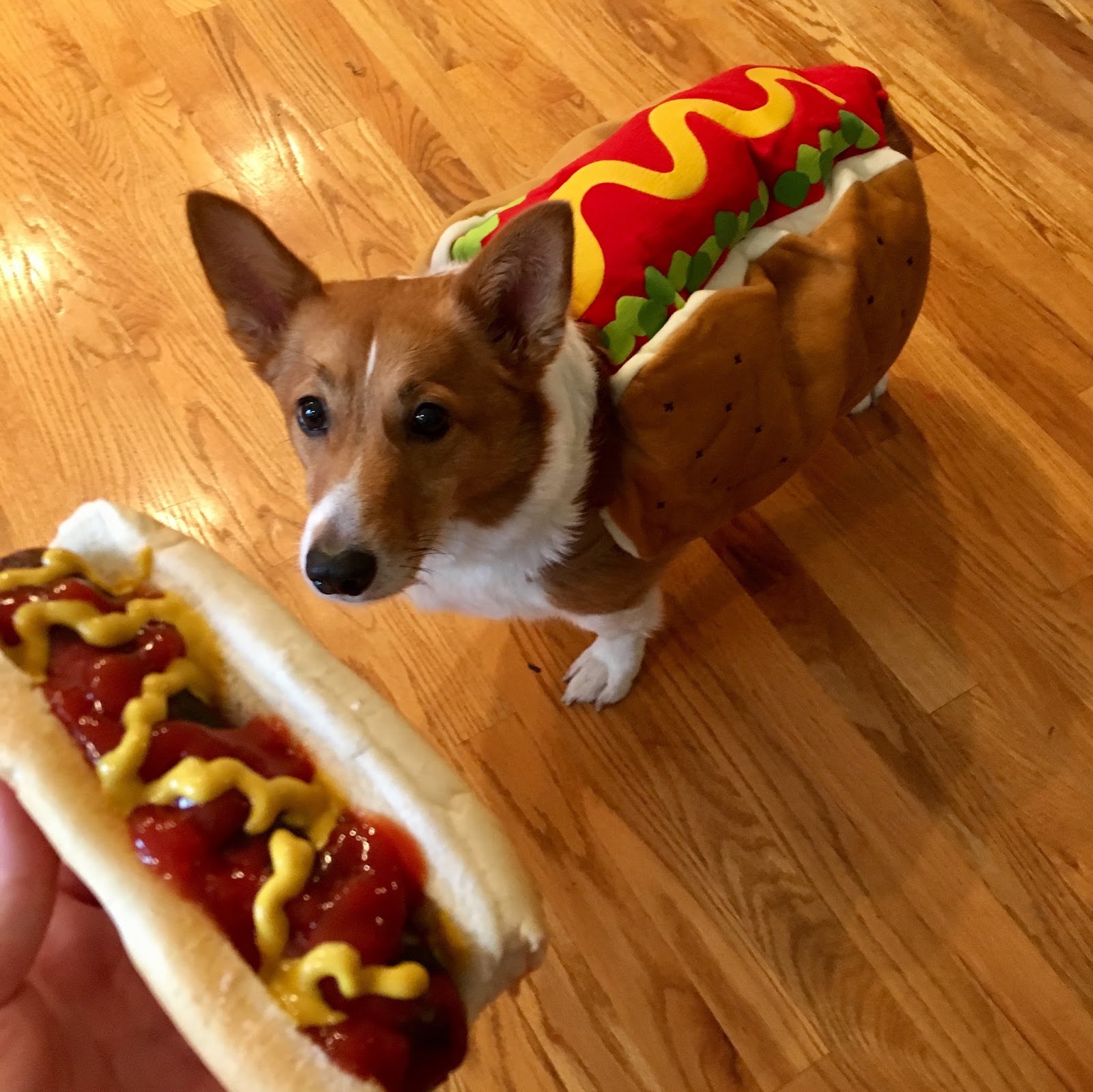 Reasonably Well October 2016 reasonably-well-october-2016