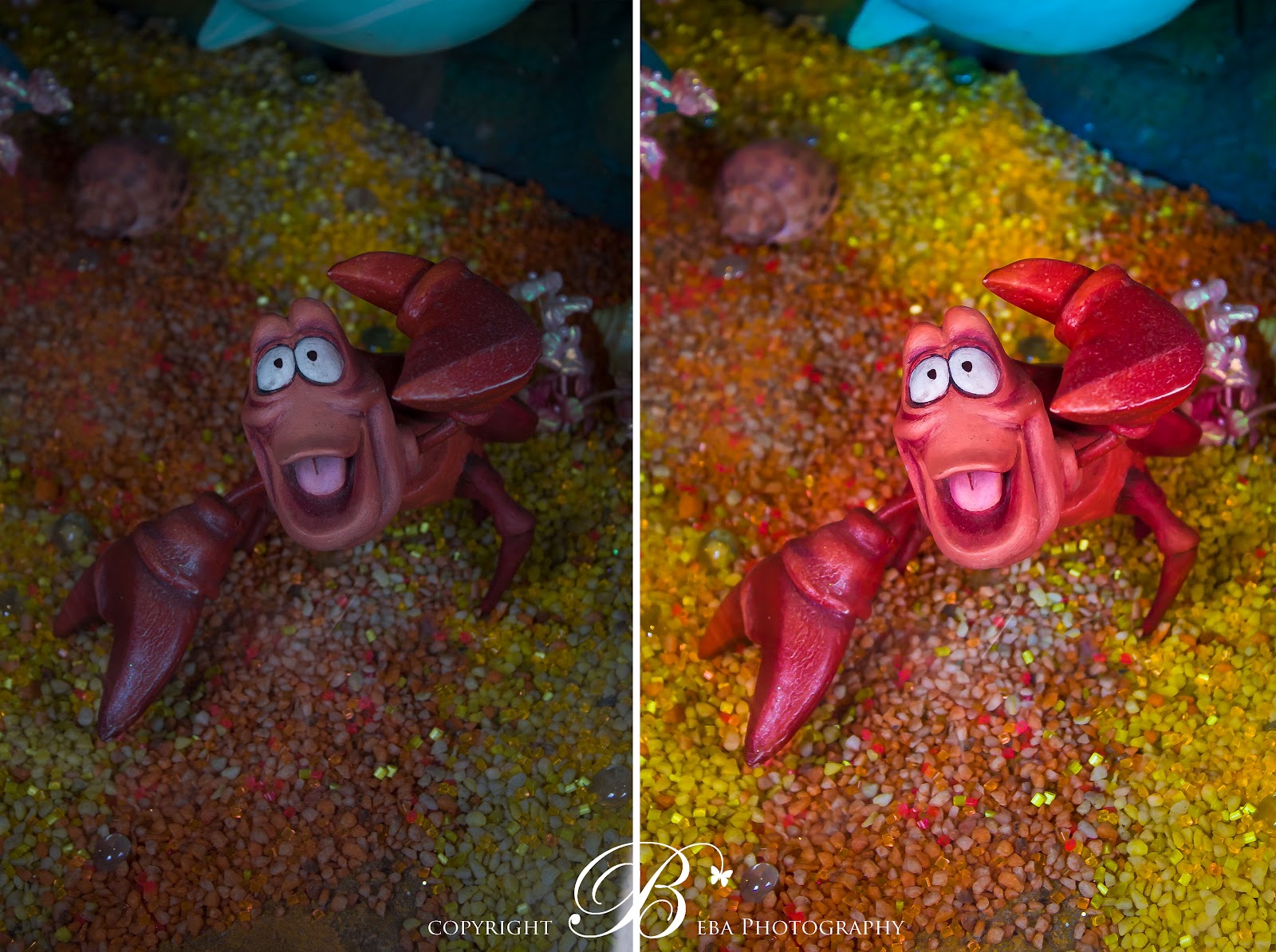 BebaPhotography Online Classes / Phoenix, AZ Photographer