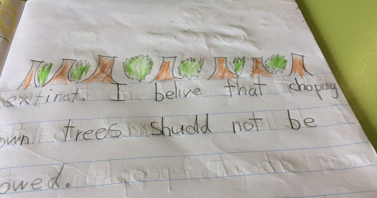 Room 2 St Patrick's School Why is Cutting Down Trees Bad?