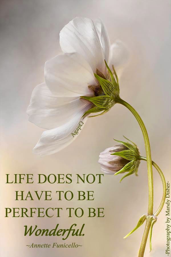 Life does not have to be perfect to be wonderful