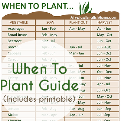 A Typical English Home: When To Plant Vegetables Guide