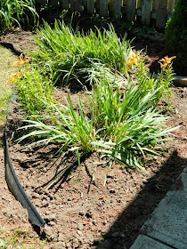 Toronto garden cleanup Paul Jung Gardening Services Coral Cove Crescent after