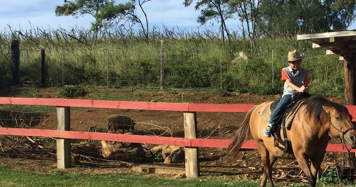 Hawaii Mom Blog Gunstock Ranch Birthday Party