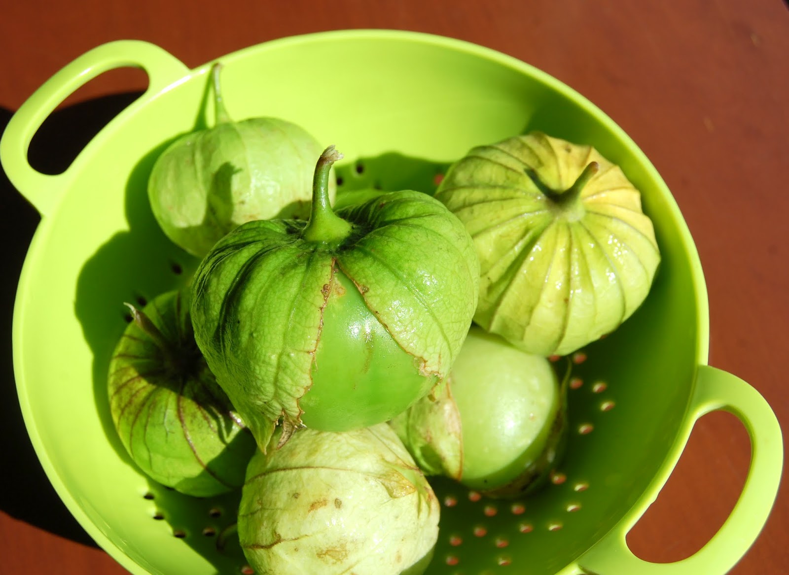Daily*Dishin Spicy TomatoTomatillo Chicken Tenders