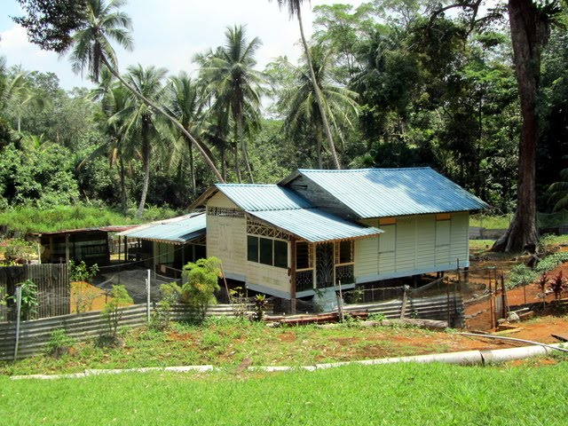 ubin blur flew fast prevent wouldn mind living