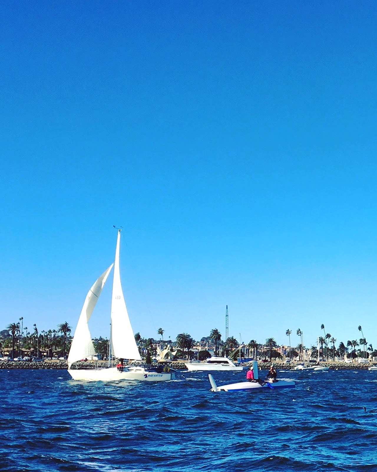 Sensory Overload Sailing in San Diego Bay (New Year's Day)