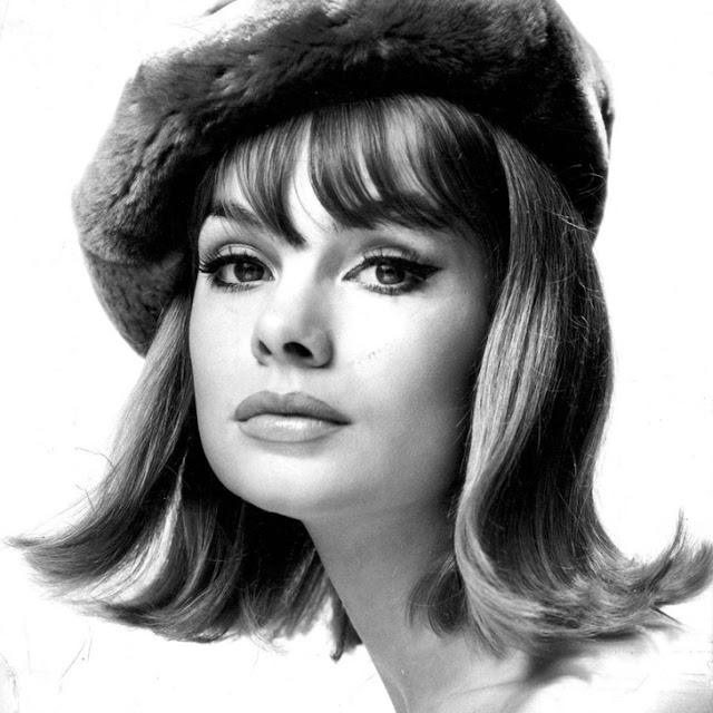 The 11 Most Iconic Hairstyles and Stars of the 1960s ...