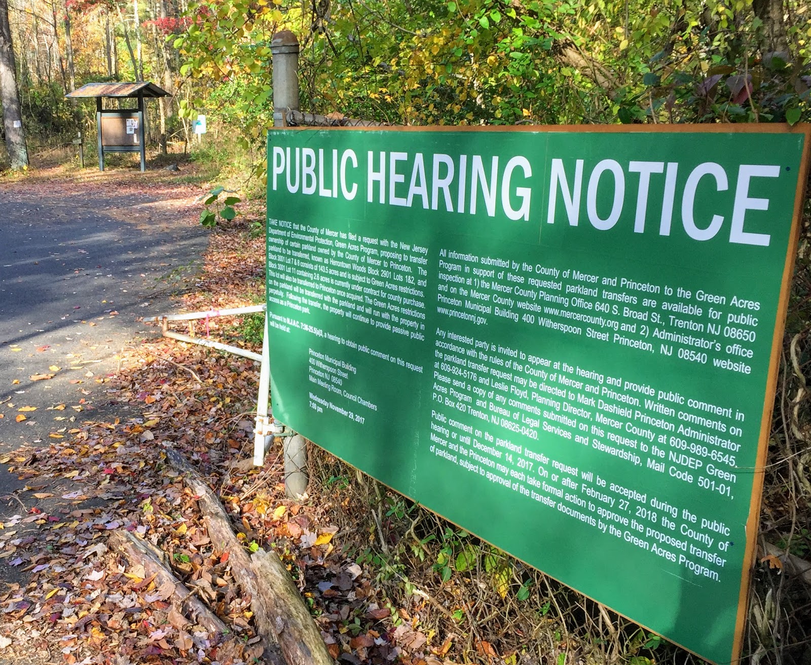 Herbs From Distant Lands Ceanothus Americanus New Jersey Tea