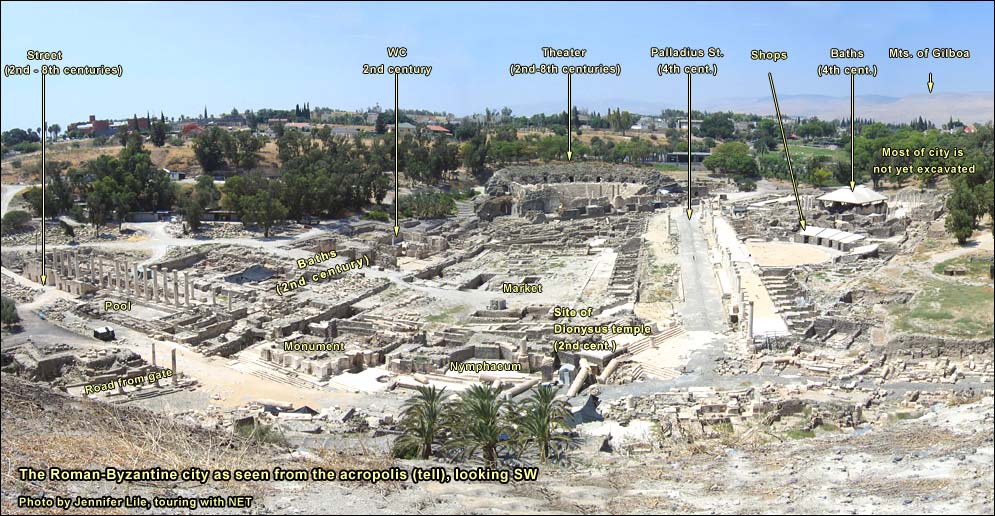 Foto Kondisi Kebun Kurma Baisan Saat Ini