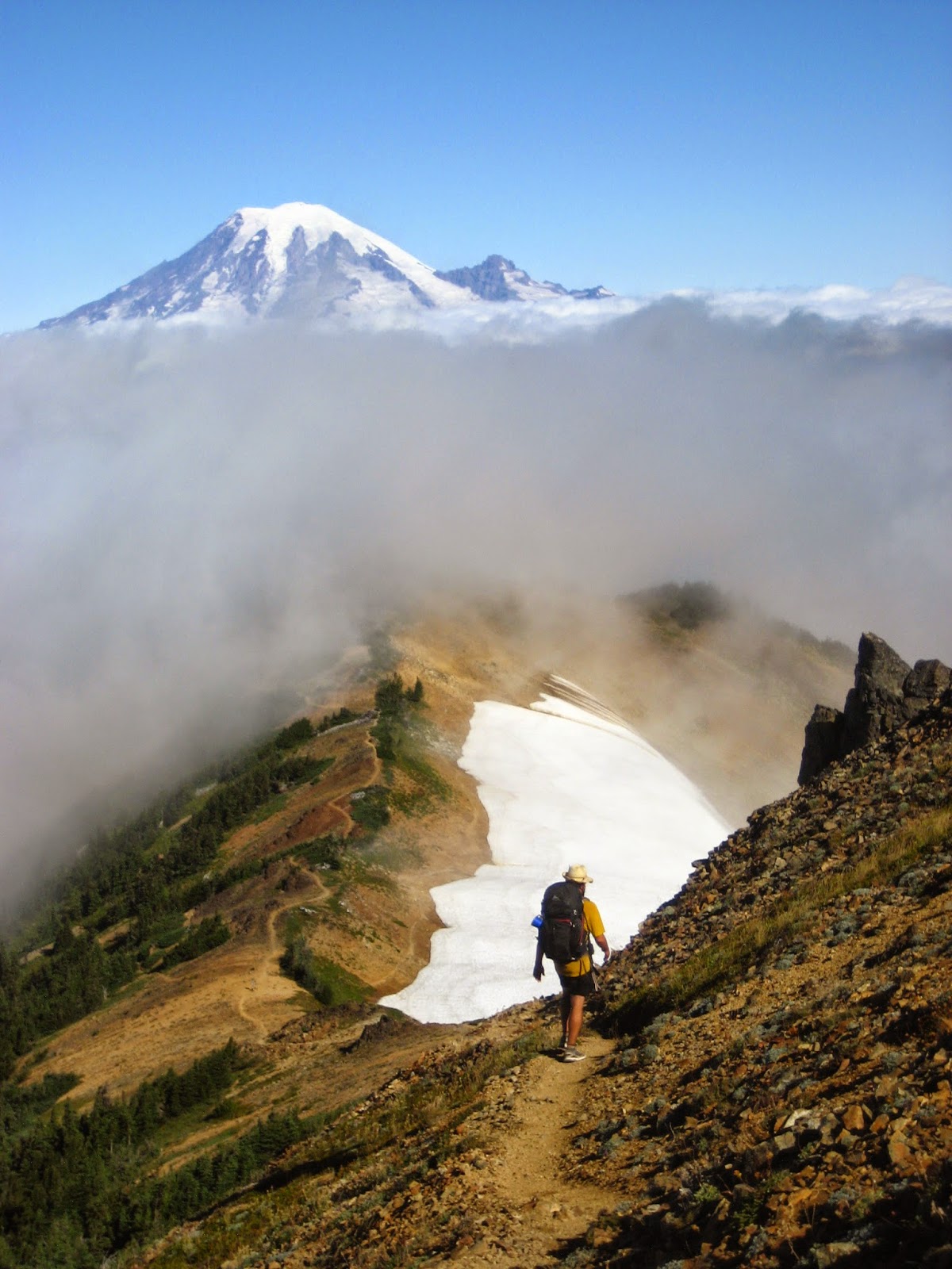 Pacific Crest Trail 2014 Cascade Locks to White Pass, Washington