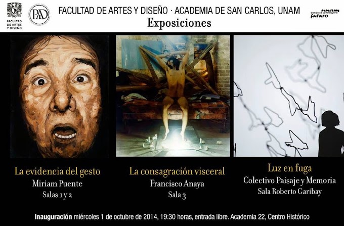 Nuevas exposiciones de Octubre en la Academia de San Carlos 2014