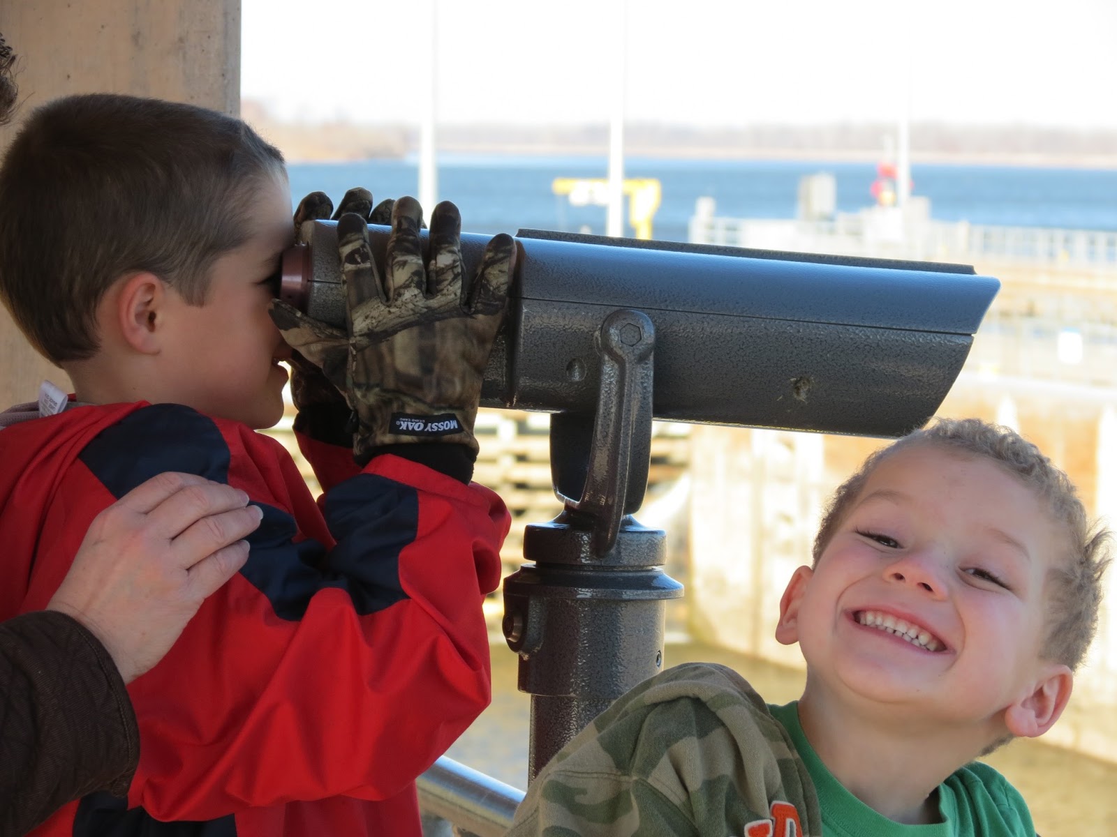 Saint Louis Adventures Eagle Watching and Clarksville, MO