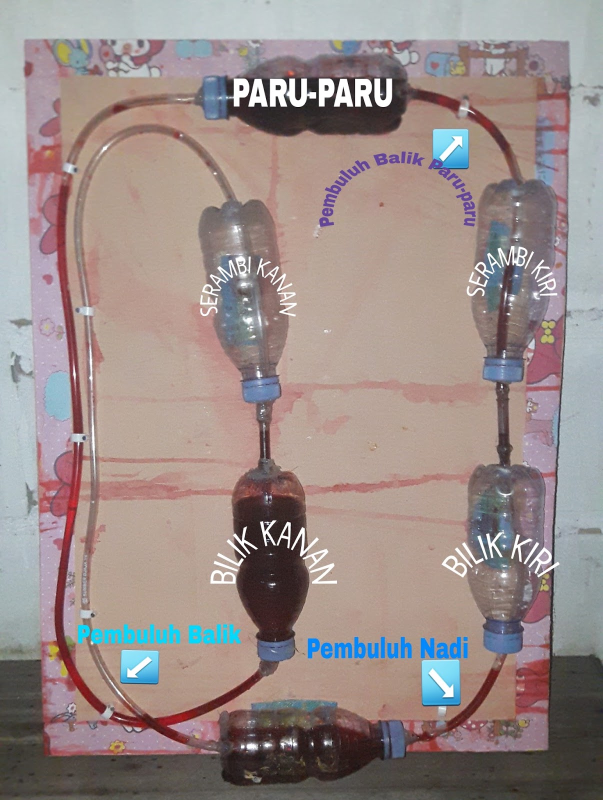 Animasi Peredaran Darah Manusia