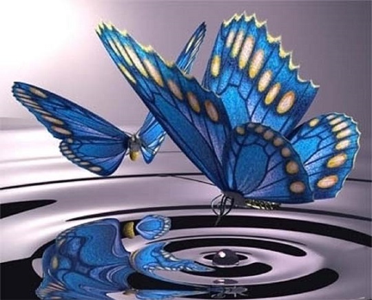 Los amantes mariposa Historias y Relatos