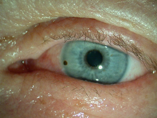 Un mot. Une image. Une citation. OEIL ET ESPRIT par zigmund