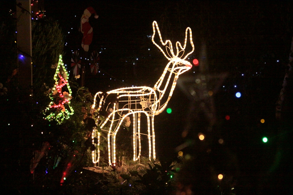 Tony's Photo Blog Lobethal Christmas lights and the Christmas story