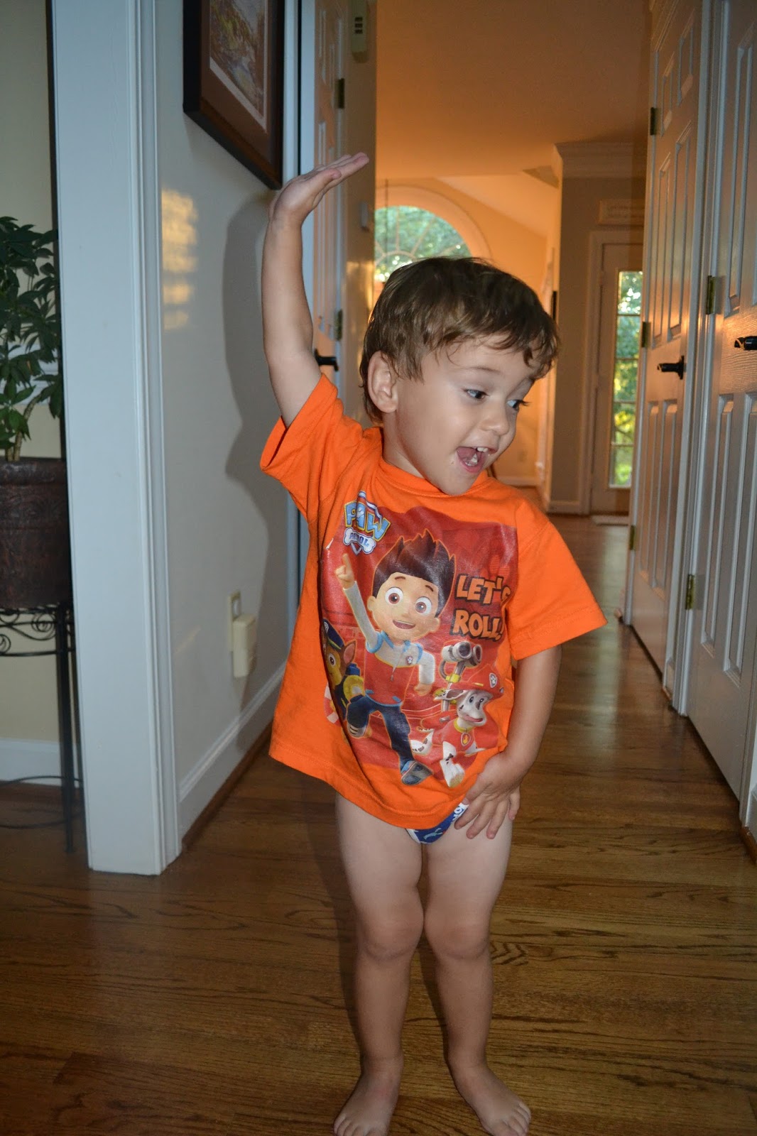 Little Boy Potty Tree