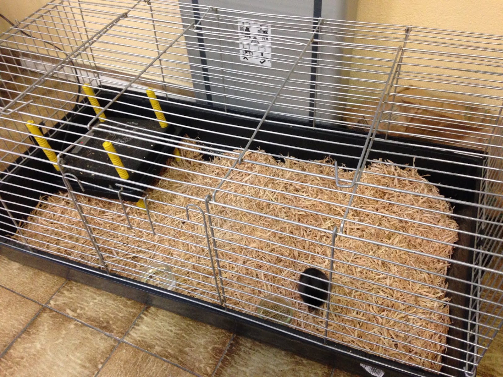 Ecole ?�l?�mentaire Joseph Calloni: CROQUE-MOU