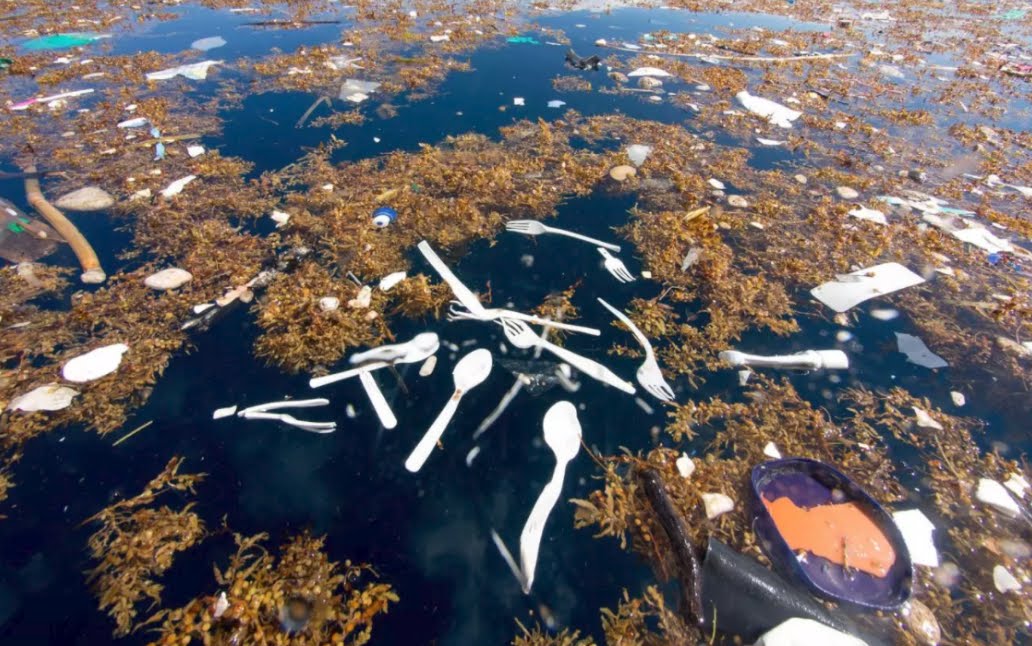 Lago Maggiore con record di Microplastiche e Plastiche, sostanze inquinanti