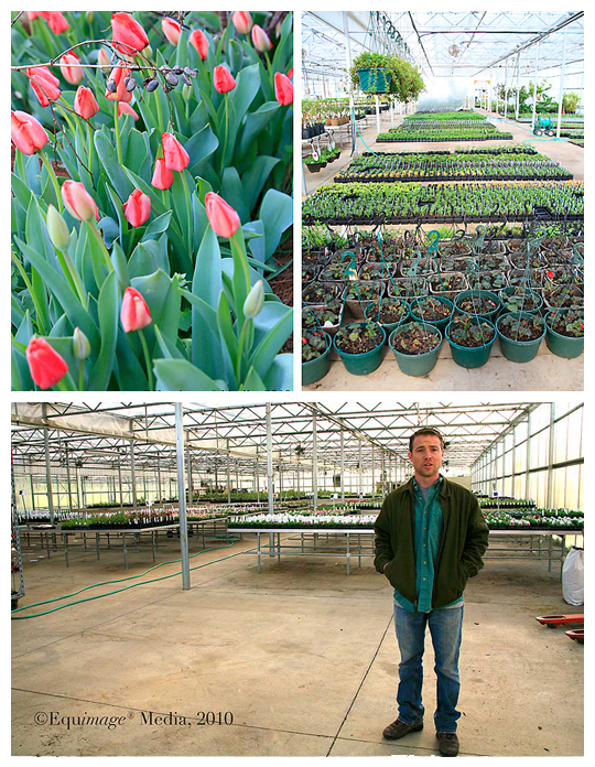 The No-Till Gardener: One Of My Favorite Places -- Marvin's Organic Gardens