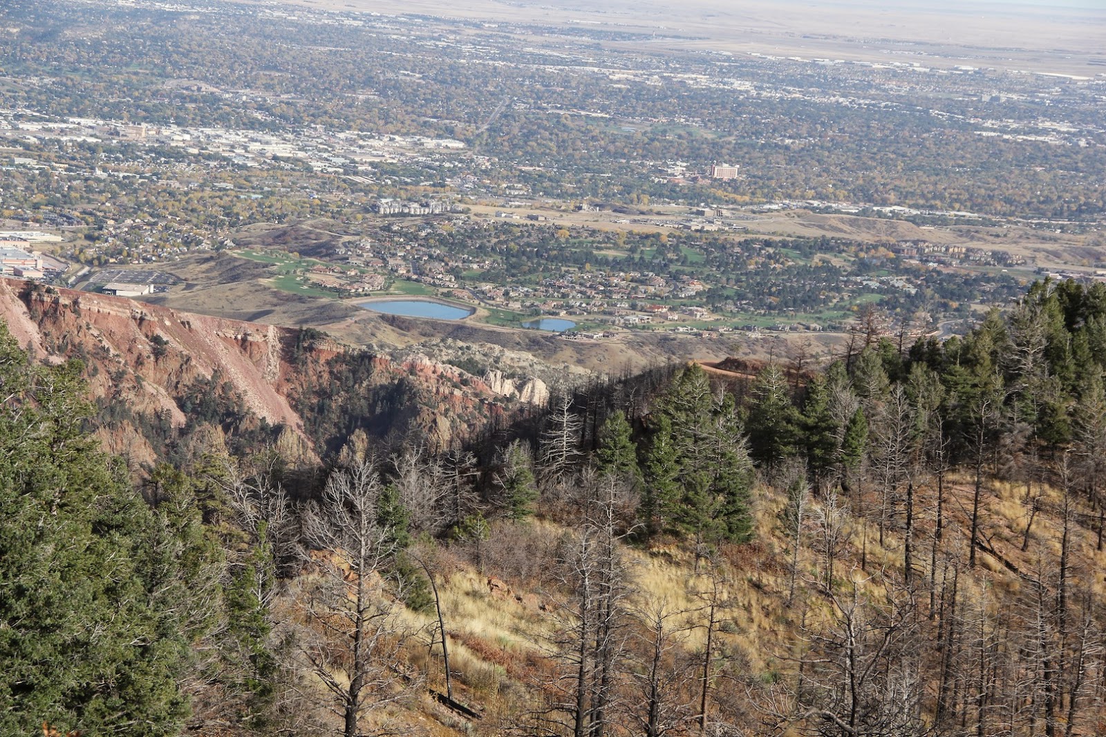 Restless native A changed condition Rampart Range Road offers a hard