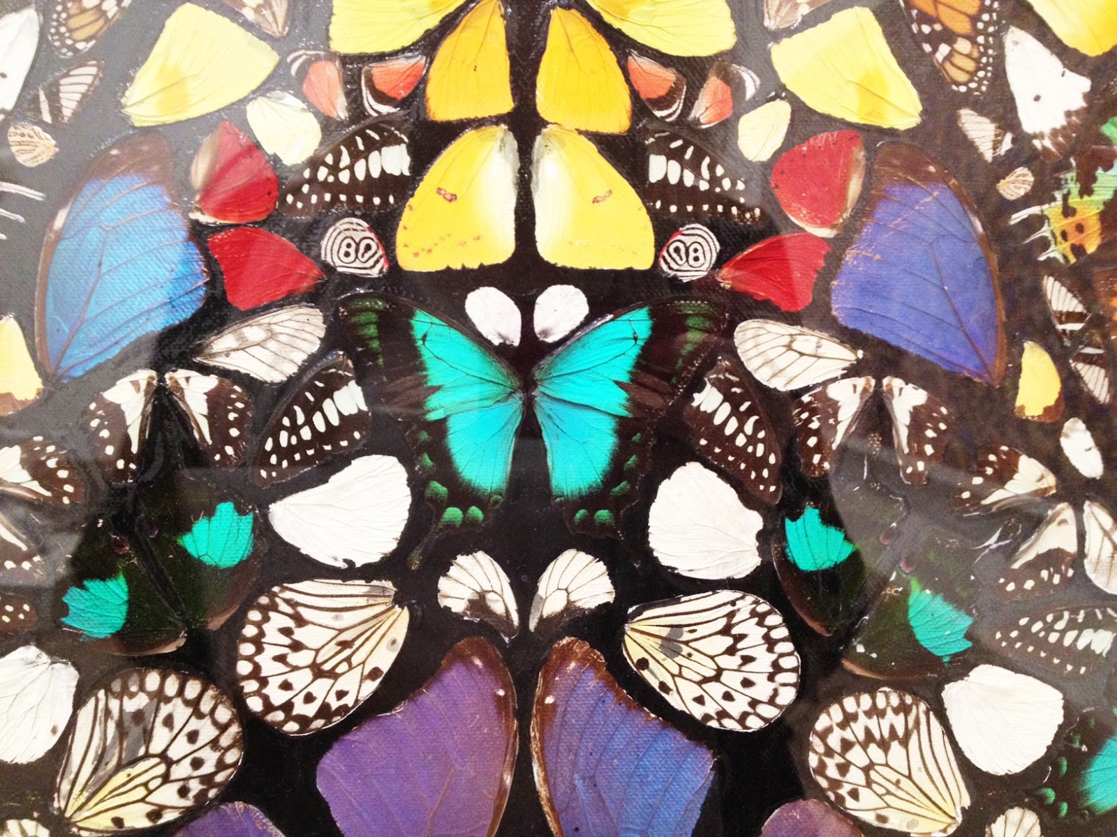 Damien Hirst Butterfly Trek Madone
