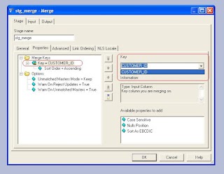 IBM DataStage Tutorial and Guide