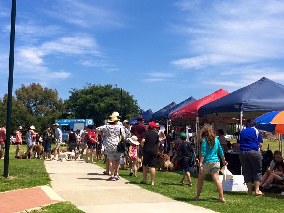 riverside barkfest bayswater wa november 22 australian dog lover bark works riverside