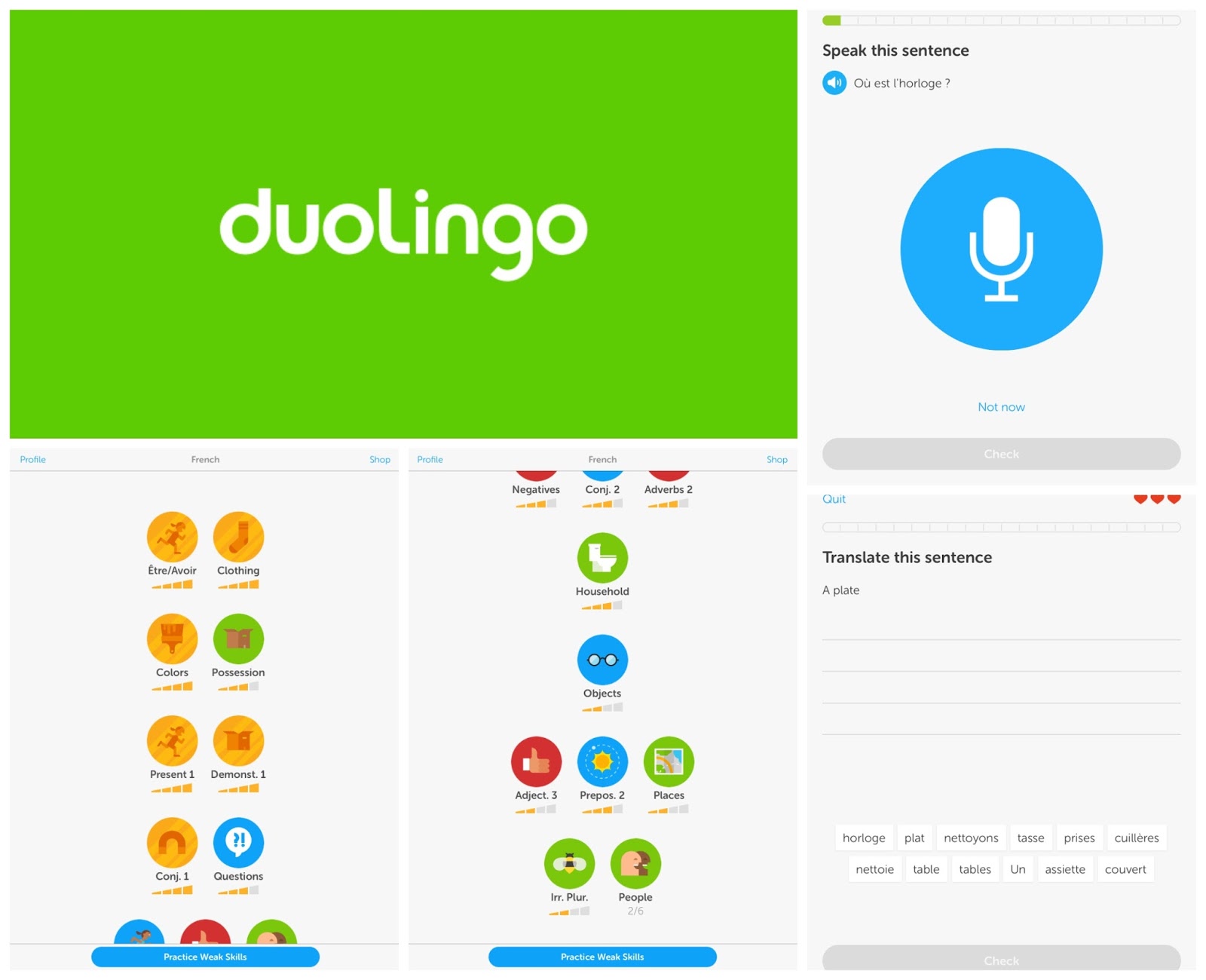 Duolingo учим. Duolingo Скриншоты приложения. Дуолинго дуо игрушка. Иконка приложения Duolingo. Создатели приложения Дуолинго.