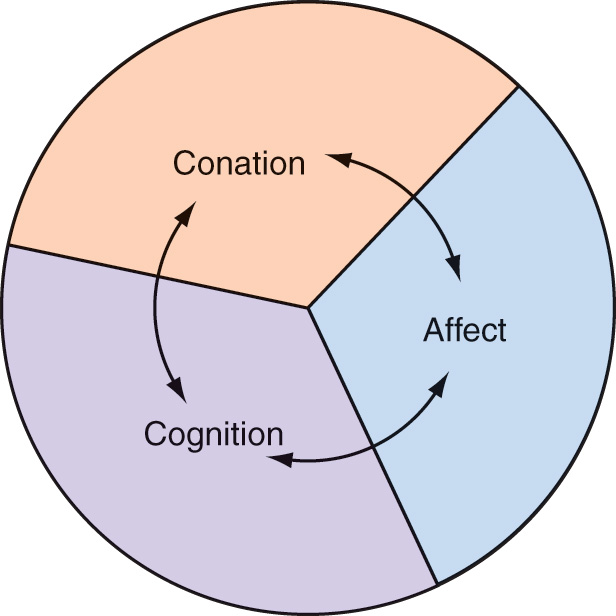 Strategic Management Consumer Behaviour Attitudes