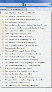 Contoh RSS Feed yang telah di-bookmark, dan jika diklik akan 'menjulurkan' menu berisikan artikel - artikel terbaru dari blog yang bersangkutan. (Gambar tidak terlihat? Klik kanan tulisan ini, lalu pilih 'Reload Image')