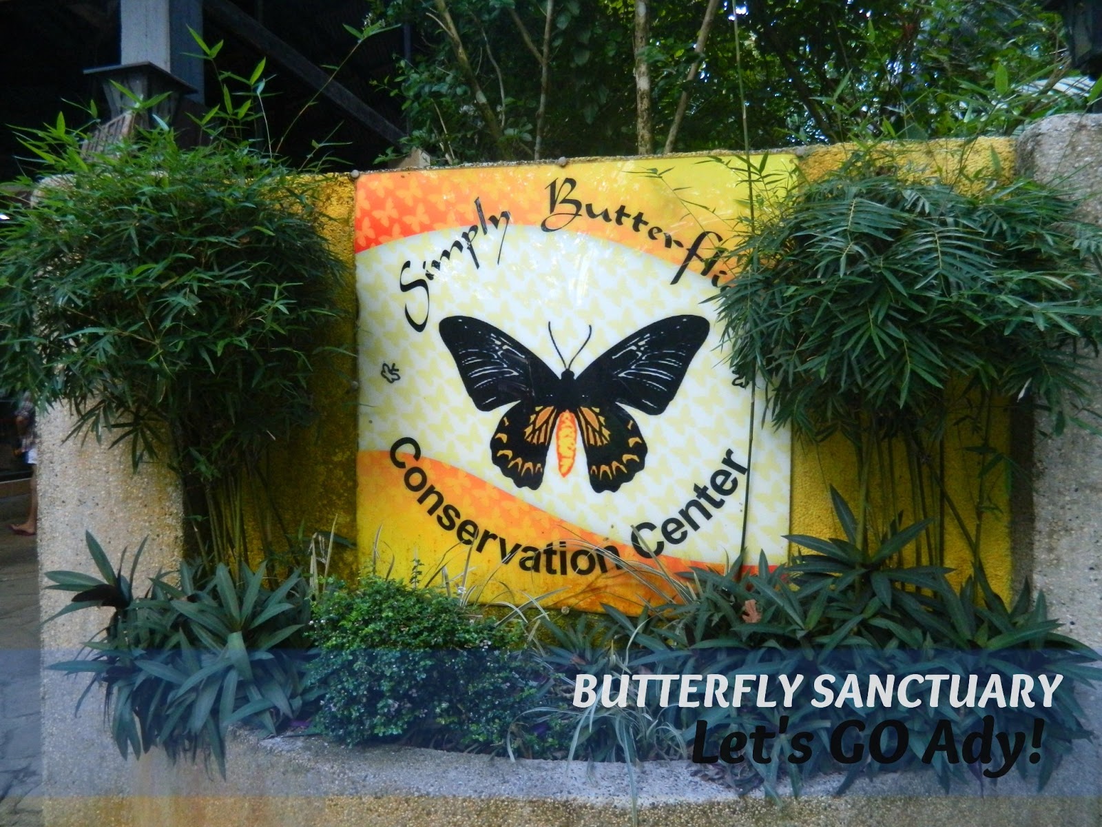 Let's GO! ady Bohol Butterfly Sanctuary