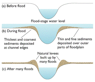 natural levee formation