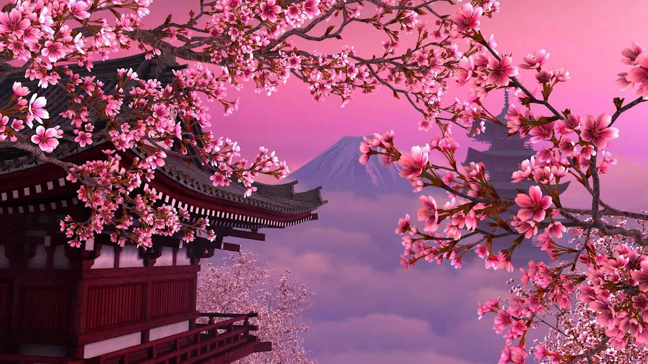 حلويات موسم الربيع هانامي في اليابان | اليابان