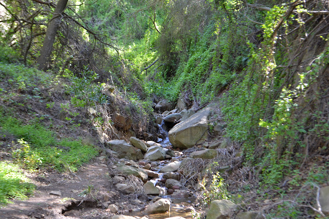 tributary with trail beside
