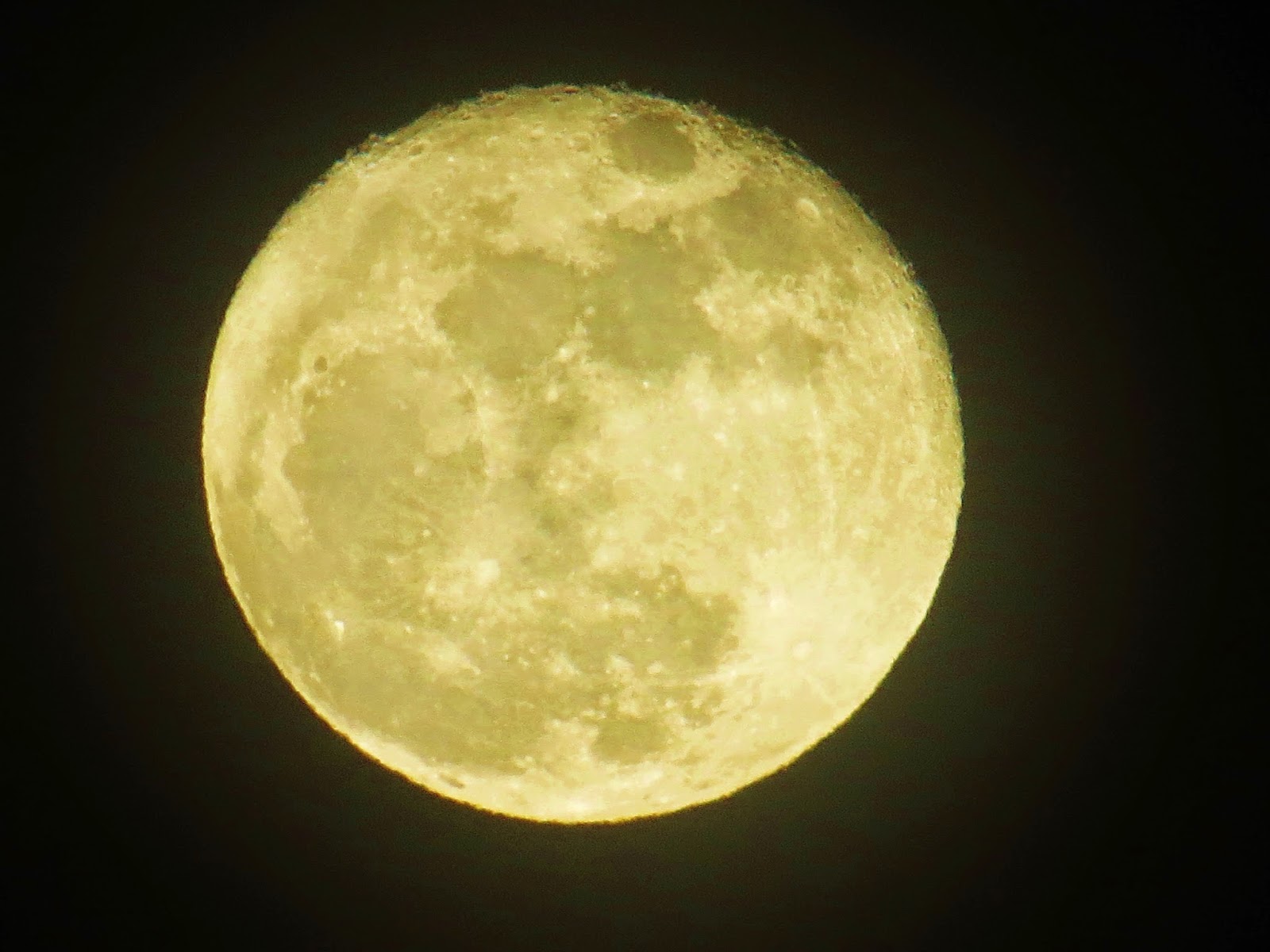 Светит холодная луна. Холодная Луна. Желтая Луна фото. Игра холодная Луна. Духи холодная Луна.