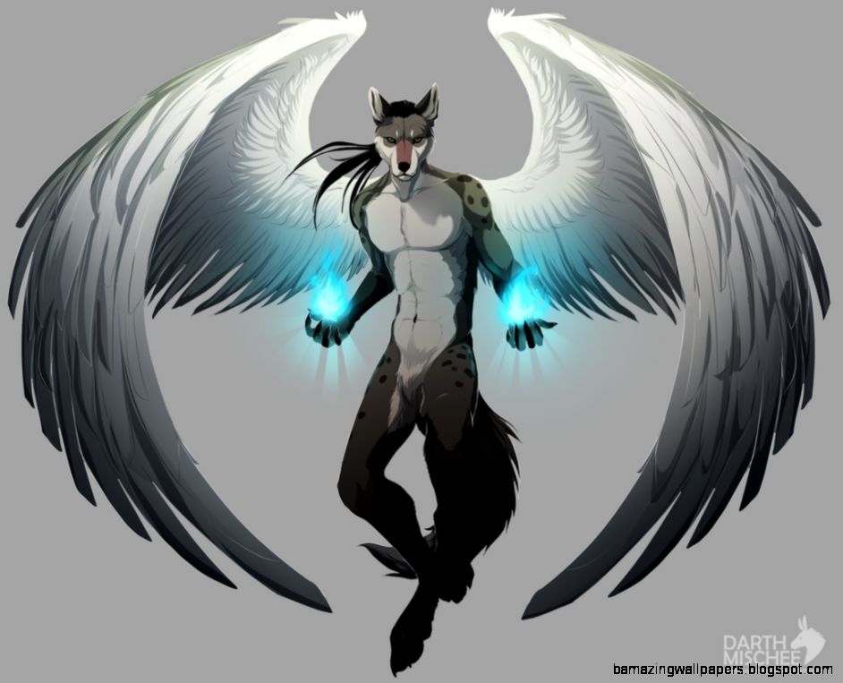Anime White Wolf Pup With Wings Amazing Wallpapers
